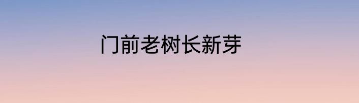 门前老树长新芽