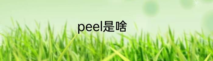 peel是啥