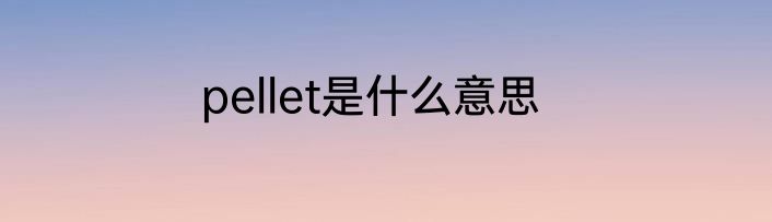 pellet是什么意思