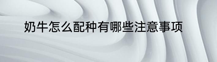 奶牛怎么配种有哪些注意事项