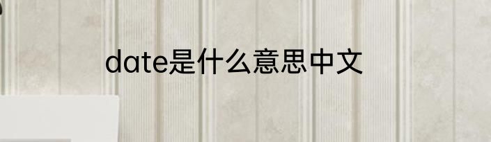 date是什么意思中文