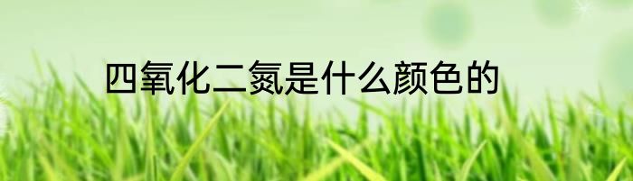 四氧化二氮是什么颜色的