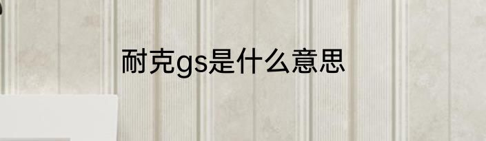 耐克gs是什么意思