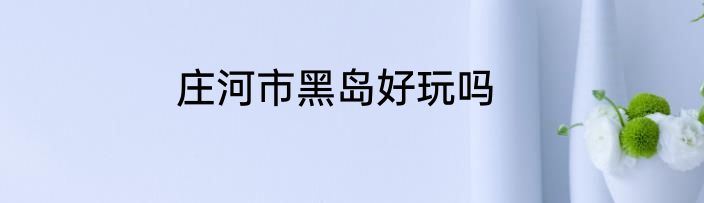 庄河市黑岛好玩吗