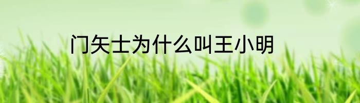 门矢士为什么叫王小明