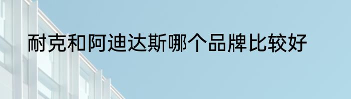 耐克和阿迪达斯哪个品牌比较好