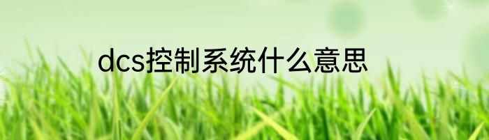 dcs控制系统什么意思