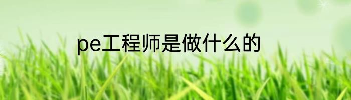 pe工程师是做什么的