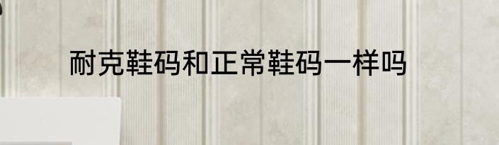 耐克鞋码和正常鞋码一样吗