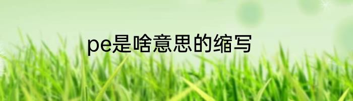 pe是啥意思的缩写