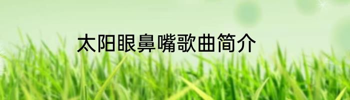 太阳眼鼻嘴歌曲简介