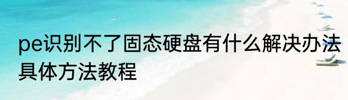 pe识别不了固态硬盘有什么解决办法具体方法教程