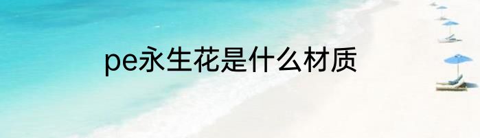 pe永生花是什么材质