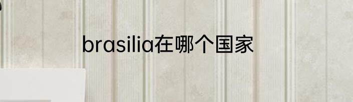 brasilia在哪个国家