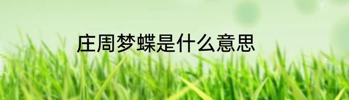 庄周梦蝶是什么意思