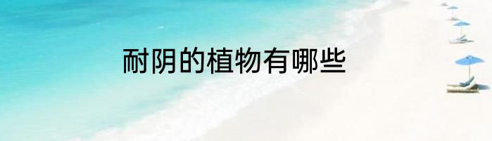 耐阴的植物有哪些