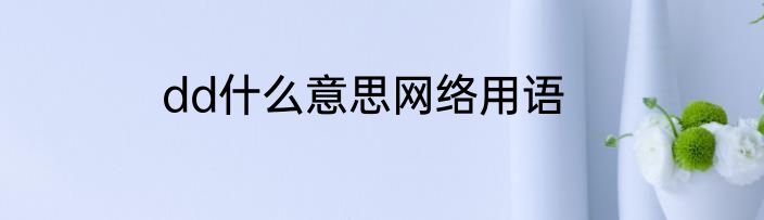 dd什么意思网络用语