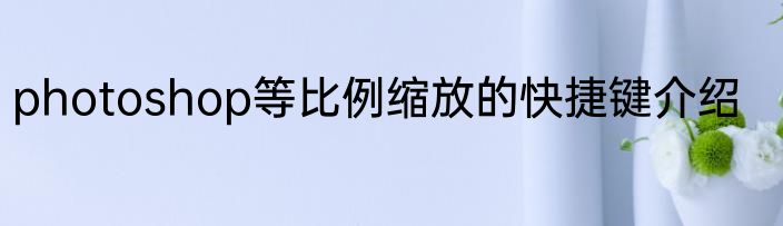 photoshop等比例缩放的快捷键介绍