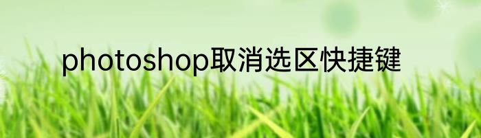 photoshop取消选区快捷键