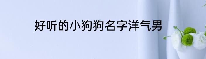 好听的小狗狗名字洋气男