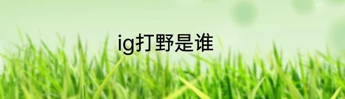 ig打野是谁