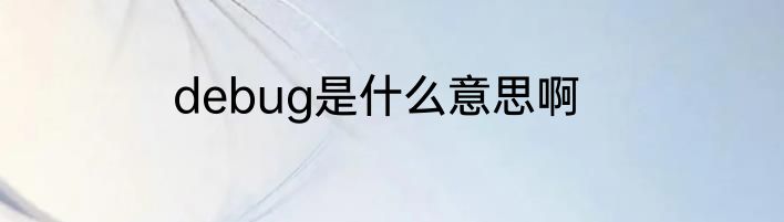 debug是什么意思啊