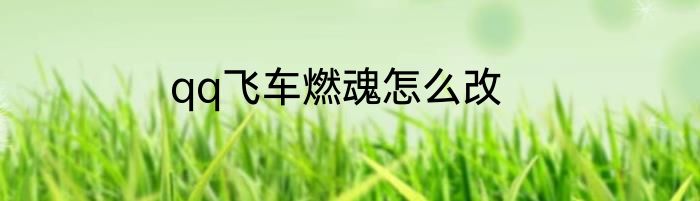 qq飞车燃魂怎么改