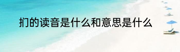 扪的读音是什么和意思是什么
