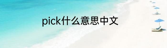 pick什么意思中文