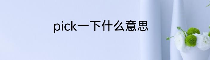 pick一下什么意思
