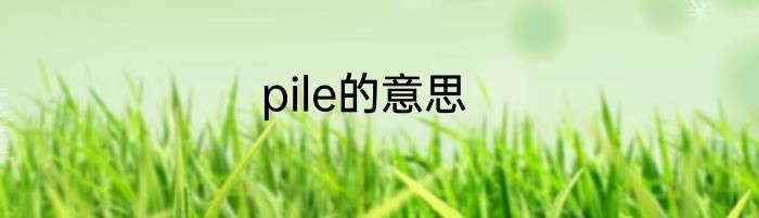 pile的意思
