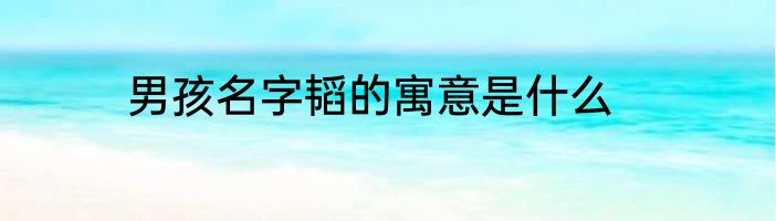 男孩名字韬的寓意是什么