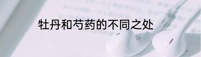 牡丹和芍药的不同之处