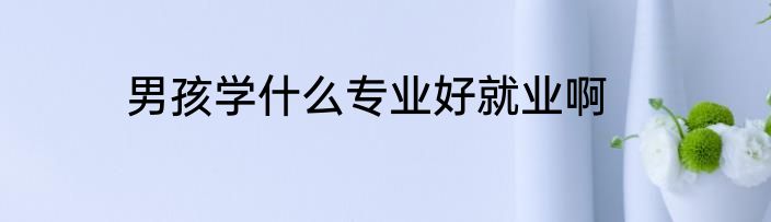 男孩学什么专业好就业啊