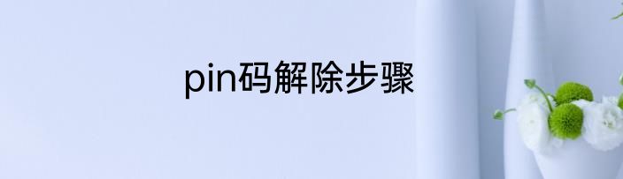 pin码解除步骤