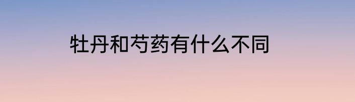 牡丹和芍药有什么不同