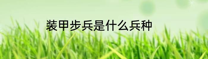 装甲步兵是什么兵种