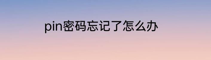 pin密码忘记了怎么办