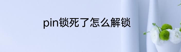 pin锁死了怎么解锁