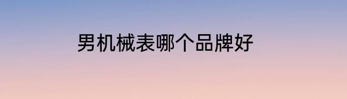男机械表哪个品牌好