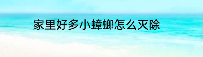 家里好多小蟑螂怎么灭除