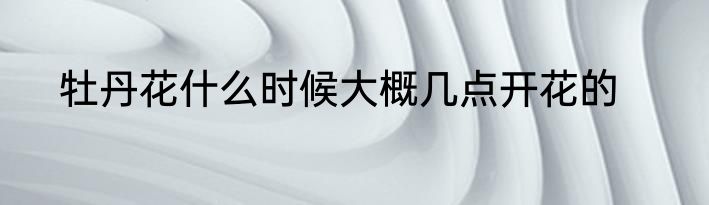 牡丹花什么时候大概几点开花的