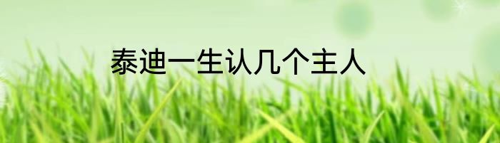 泰迪一生认几个主人