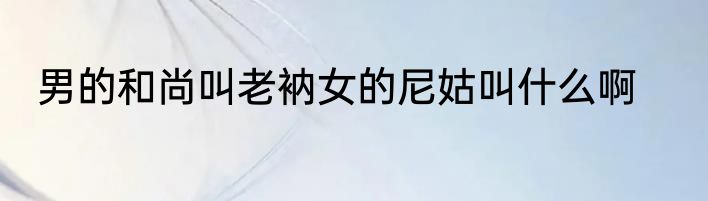 男的和尚叫老衲女的尼姑叫什么啊