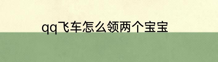 qq飞车怎么领两个宝宝