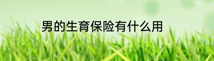 男的生育保险有什么用