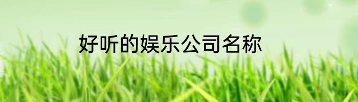 好听的娱乐公司名称
