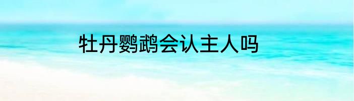 牡丹鹦鹉会认主人吗