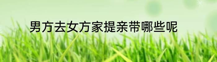 男方去女方家提亲带哪些呢