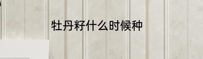 牡丹籽什么时候种